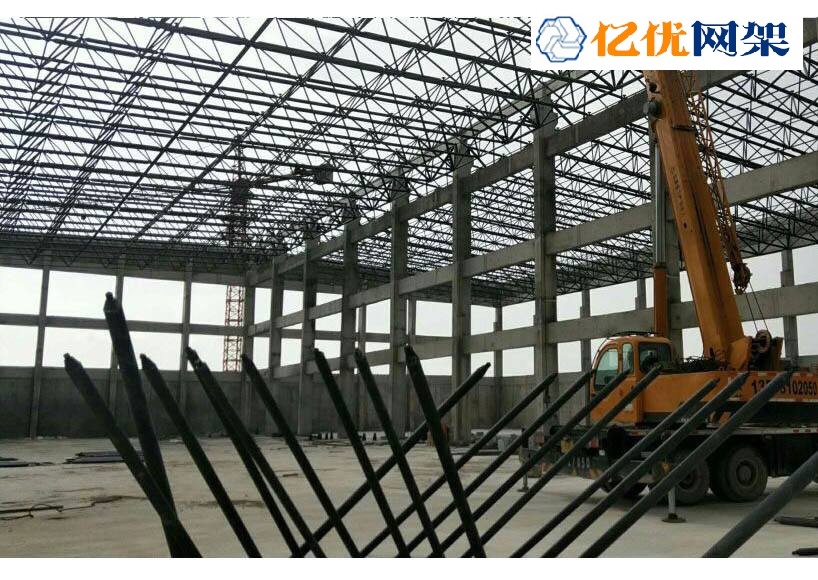 五指山干煤棚网架